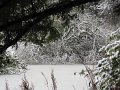 more snow nov 2019 014